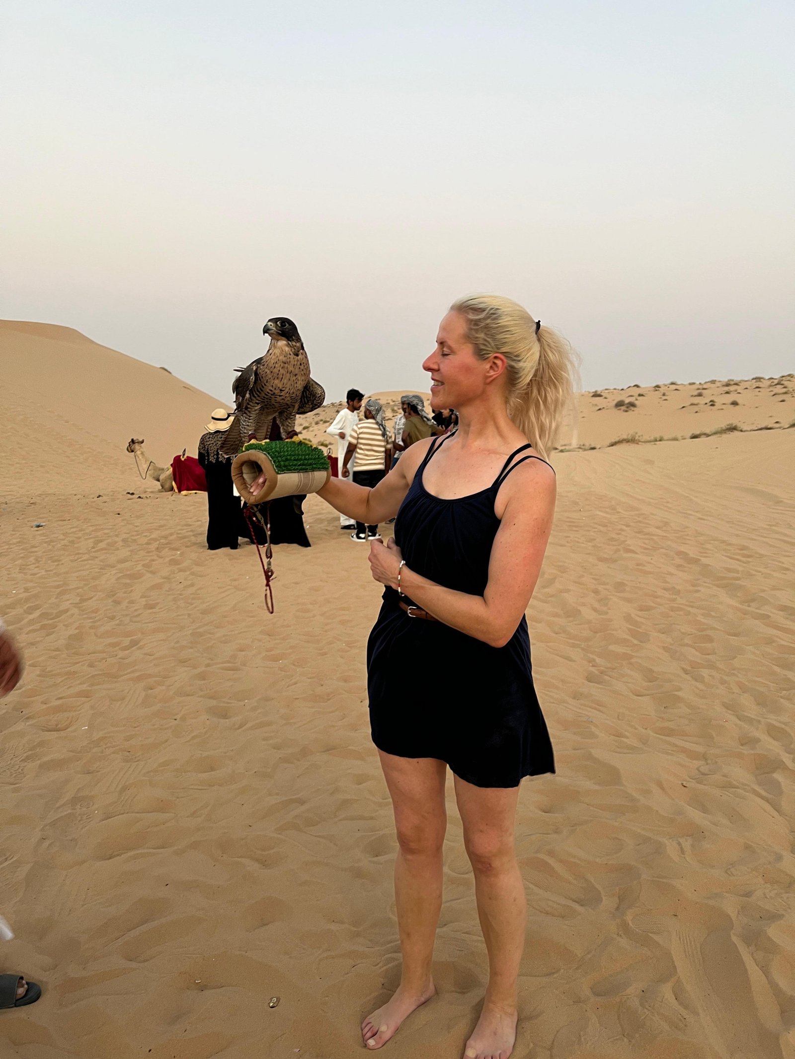 Falcon show during an Abu Dhabi desert safari