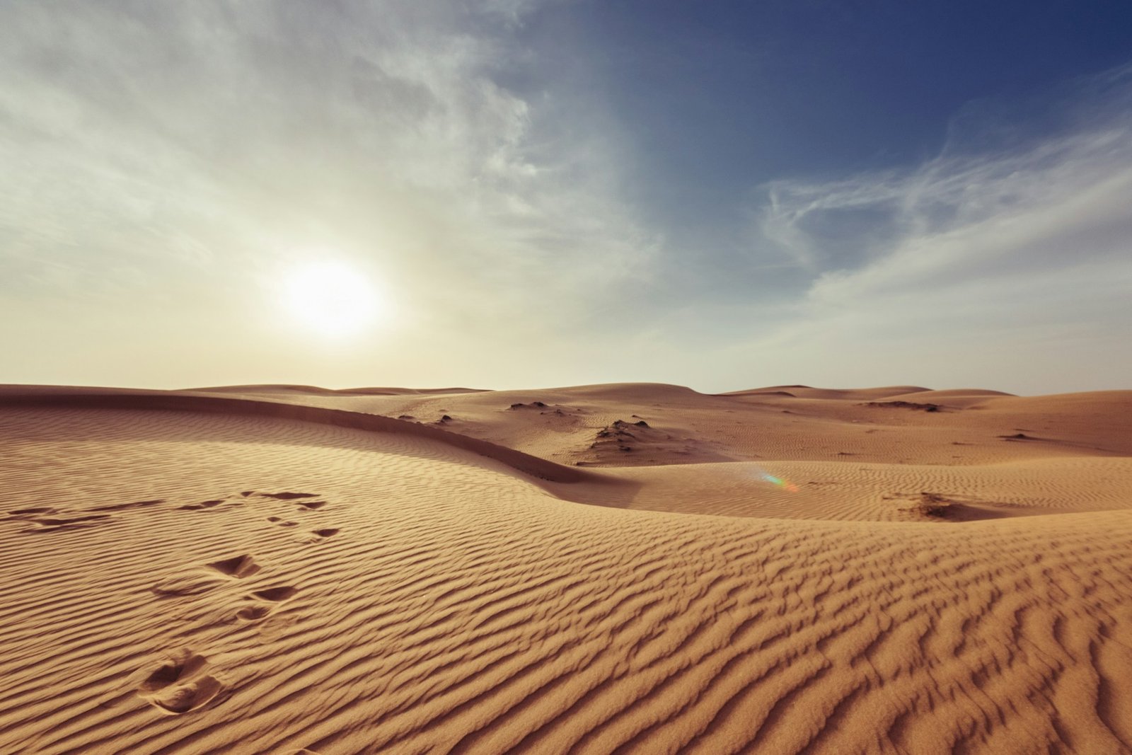 Sunset over golden desert dunes during an Abu Dhabi desert safari